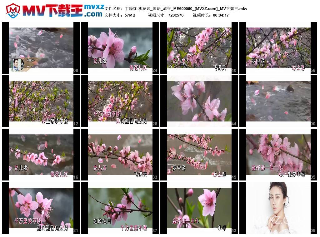 丁晓红-桃花谣_国语_流行_ME600050